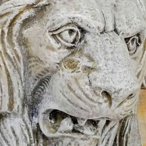 Meet your Posher, Tom